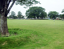 �ΖL���ȍL�X�Ƃ�������